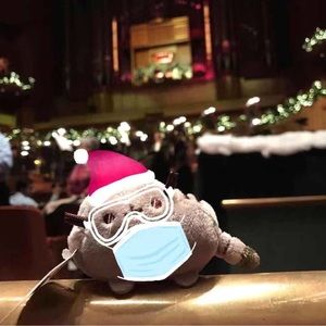 Meet your Posher, Jiahui